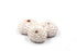 pale pink and white knobby sea urchin